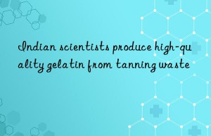 Indian scientists produce high-quality gelatin from tanning waste