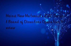 Meirui New Material’s 2022 Annual Board of Directors Operation Review