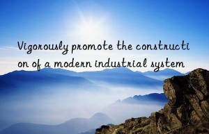 Vigorously promote the construction of a modern industrial system