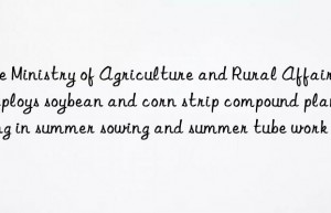 The Ministry of Agriculture and Rural Affairs deploys soybean and corn strip compound planting in summer sowing and summer tube work