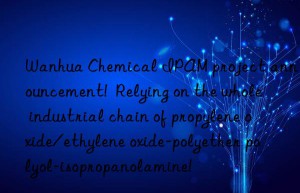 Wanhua Chemical IPAM project announcement!  Relying on the whole industrial chain of propylene oxide/ethylene oxide-polyether polyol-isopropanolamine!