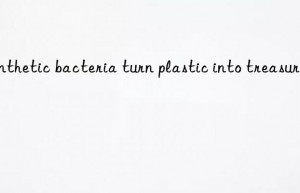 Synthetic bacteria turn plastic into treasure