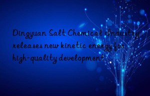 Dingyuan Salt Chemical Industry releases new kinetic energy for high-quality development