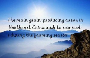 The main grain-producing areas in Northeast China rush to sow seeds during the farming season