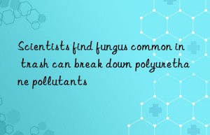 Scientists find fungus common in trash can break down polyurethane pollutants