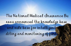 The National Medical Insurance Bureau announced the knowledge base and rule base for intelligent auditing and monitoring of funds