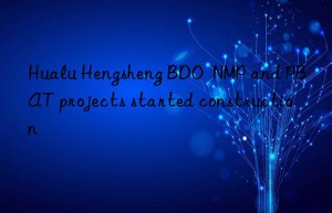 Hualu Hengsheng BDO  NMP and PBAT projects started construction