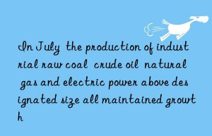 In July  the production of industrial raw coal  crude oil  natural gas and electric power above designated size all maintained growth