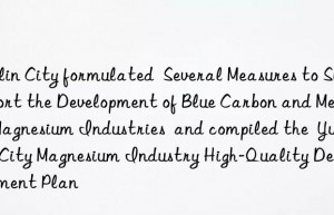 Yulin City formulated  Several Measures to Support the Development of Blue Carbon and Metal Magnesium Industries  and compiled the  Yulin City Magnesium Industry High-Quality Development Plan