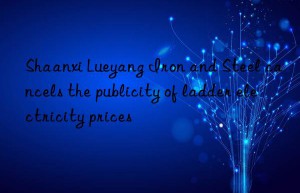 Shaanxi Lueyang Iron and Steel cancels the publicity of ladder electricity prices