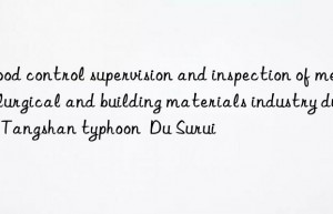 Flood control supervision and inspection of metallurgical and building materials industry during Tangshan typhoon  Du Surui