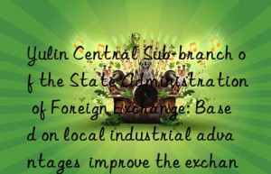 Yulin Central Sub-branch of the State Administration of Foreign Exchange: Based on local industrial advantages  improve the exchange rate risk management capabilities of metal magnesium enterprises within its jurisdiction