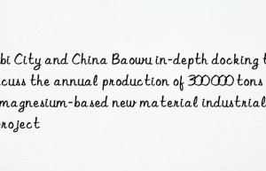 Hebi City and China Baowu in-depth docking to discuss the annual production of 300 000 tons of magnesium-based new material industrial park project