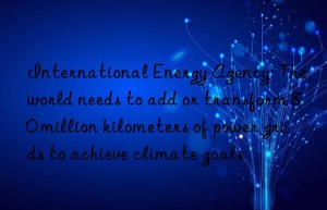 International Energy Agency: The world needs to add or transform 80 million kilometers of power grids to achieve climate goals