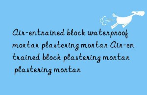 Air-entrained block waterproof mortar plastering mortar Air-entrained block plastering mortar plastering mortar