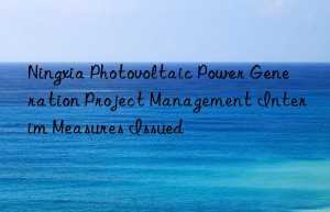 Ningxia Photovoltaic Power Generation Project Management Interim Measures Issued