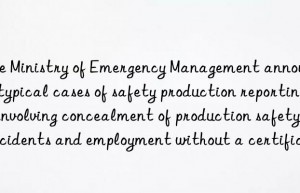 The Ministry of Emergency Management announced 6 typical cases of safety production reporting  involving concealment of production safety accidents and employment without a certificate