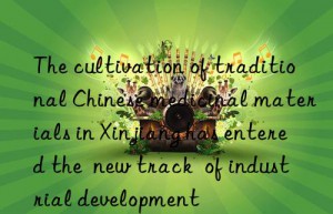 The cultivation of traditional Chinese medicinal materials in Xinjiang has entered the  new track  of industrial development