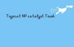Toyocat NP catalyst Tosoh 