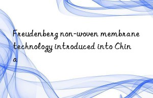 Freudenberg non-woven membrane technology introduced into China