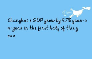 Shanghai s GDP grew by 9.7% year-on-year in the first half of this year