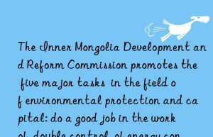 The Inner Mongolia Development and Reform Commission promotes the  five major tasks  in the field of environmental protection and capital: do a good job in the work of  double control  of energy consumption