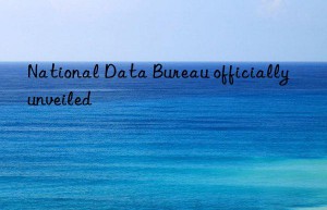 National Data Bureau officially unveiled