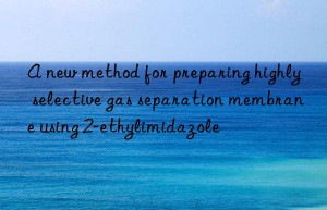 A new method for preparing highly selective gas separation membrane using 2-ethylimidazole