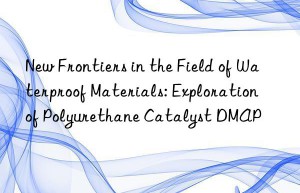 New Frontiers in the Field of Waterproof Materials: Exploration of Polyurethane Catalyst DMAP