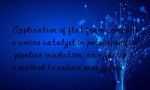 Application of flat foam composite amine catalyst in petrochemical pipeline insulation: an effective method to reduce energy loss