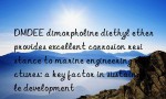 DMDEE dimorpholine diethyl ether provides excellent corrosion resistance to marine engineering structures: a key factor in sustainable development