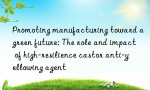 Promoting manufacturing toward a green future: The role and impact of high-resilience castor anti-yellowing agent