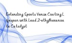 Extending Sports Venue Coating Lifespan with Lead 2-ethylhexanoate Catalyst