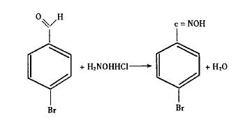 Reaction of p-bromobenzaldehyde and hydroxylamine hydrochloride