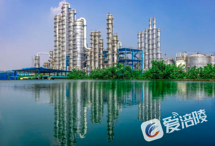 Chongqing Huafeng Adipic Acid Phase VI Project Production Unit. (2)