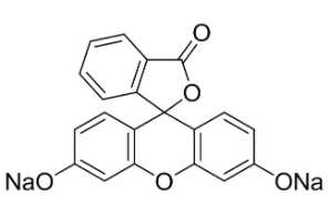 Sodium fluorescein