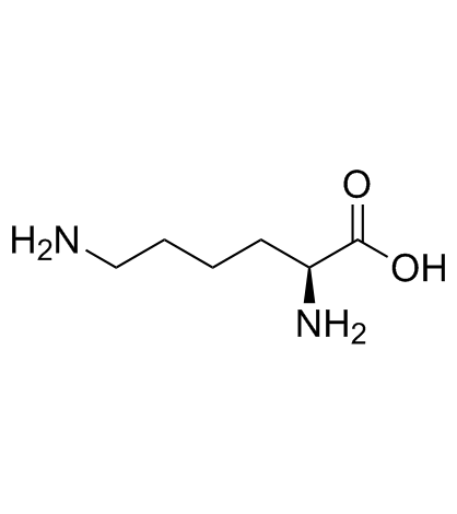 L-lysine