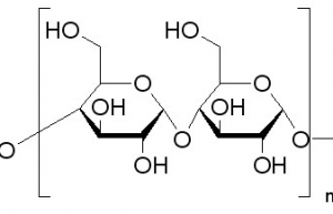 Cornstarch