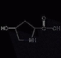 L-4-hydroxyproline structural formula