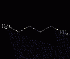 1,4-diaminobutane structural formula