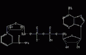 3-acetylpyridine adenine dinucleotide structural formula