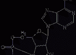 Adenosine-3',5'-cyclic phosphate structural formula