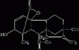 Gibberellic acid structural formula