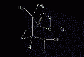 (+)-camphoric acid structural formula