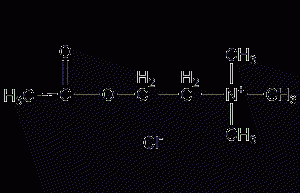 Acetylcholine chloride structural formula