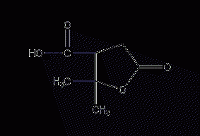 Structure formula of oxidized turpentine acid