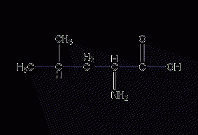 DL-leucine structural formula