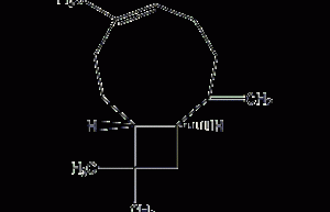 β-caryophyllene structural formula