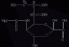 N-acetylneuraminic acid structural formula