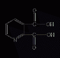 2,3-pyridinedicarboxylic acid structural formula